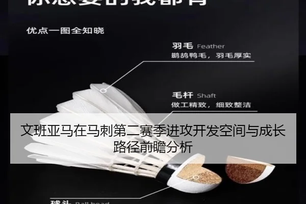文班亚马在马刺第二赛季进攻开发空间与成长路径前瞻分析
